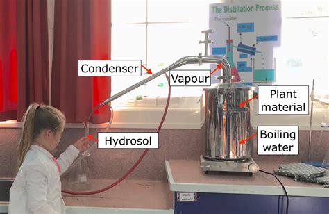 Distillation 的图像结果