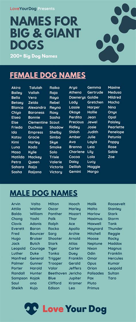 Big Dog Names: Over 200 Great Names For Giant Breeds