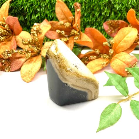 Petrified Palm Root Free Form for Emotional Balance at Talk to Crystals
