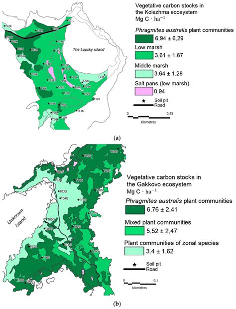 Carbon Stock in Coastal Ecosystems of Tombolos of the White and Baltic Seas