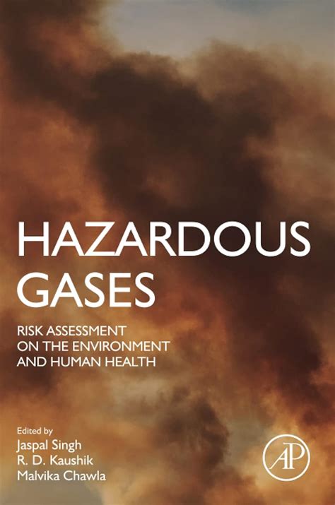 Buy Hazardous Gases: Risk Assessment on the Environment and Human ...