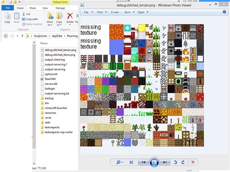 Steps for Making a Texture Pack Java 的图像结果