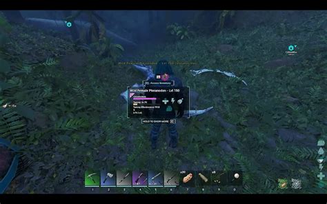 ARK Survival Ascended Pteranodon taming guide