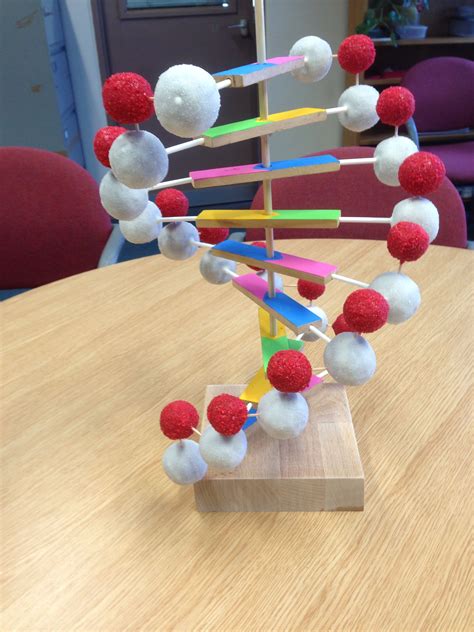 DNA Model Project 的图像结果