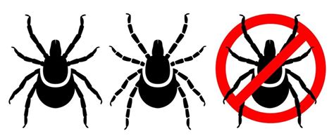 Ticks set deer tick vector clipart isolated on white background ...