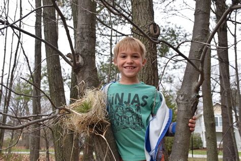 Nature Programmes 的图像结果