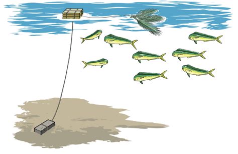 Fisheries 的图像结果