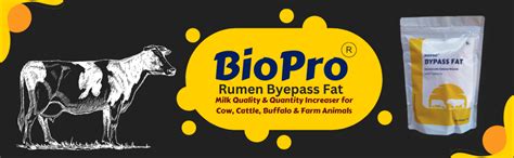 Bio Pro Bypass Fat Powder For Cow, Cattle, Buffalo & Farm Animals