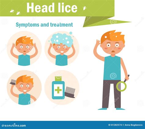 Head Lice. Symptoms and Treatment Stock Vector - Illustration of medical, flat: 81282574
