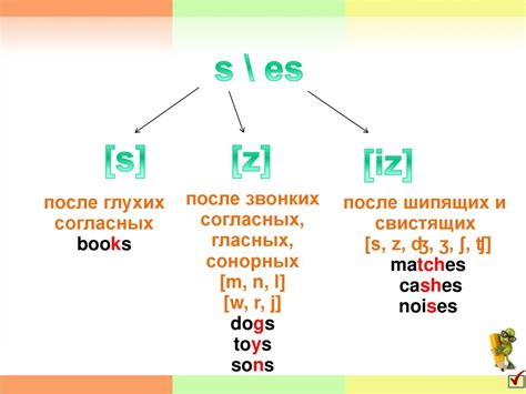 Множественное число существительных - презентация онлайн