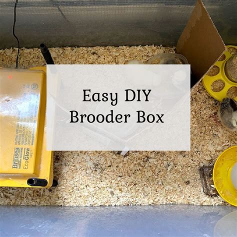 Image result for DIY Brooder Box