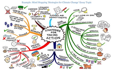 Brain Map Example 的图像结果