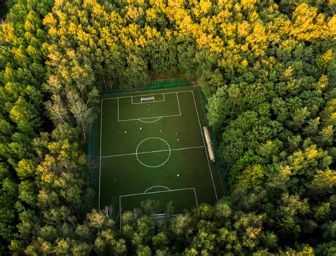 Sportsfield within Forest 的图像结果