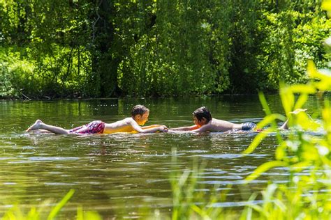 Nature Swim 的图像结果