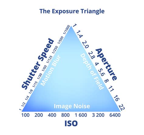 What Is ISO In Photography? Camera ISO Settings Guide
