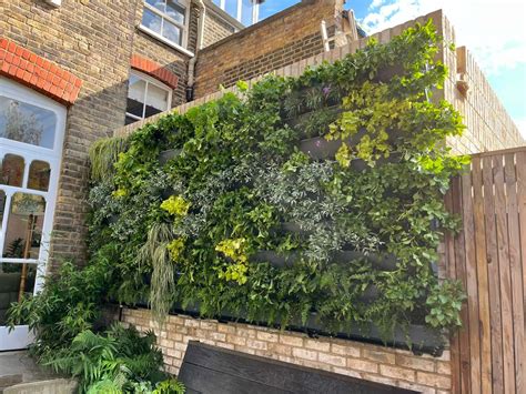 Living Green Walls for Urban Spaces | Meristem Design