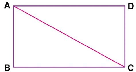Chapter notes Area of a Trapezium and a Polygon - Class 8 ICSE PDF Download