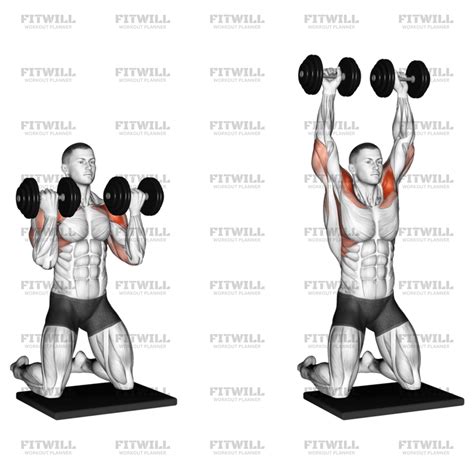 Dumbbell Kneeling Arnold Press: Exercise Guide, Video, Techniques ...