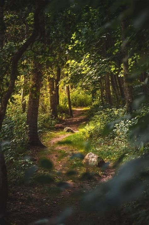 𝗪𝗮𝘀 𝗹𝘂𝘇𝗶𝗱𝗲𝘀 𝗧𝗿ä𝘂𝗺𝗲𝗻 𝗶𝘀𝘁 𝘂𝗻𝗱 𝘄𝗶𝗲 𝗺𝗮𝗻 𝗱𝗮𝗺𝗶𝘁 𝘀𝗵𝗶𝗳𝘁𝗲𝘁 | Wiki | Shifting Reality Gang Amino