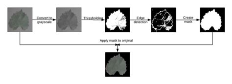 Image Processing Projects Using Python 的图像结果
