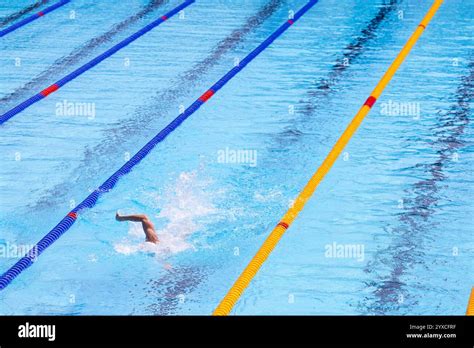 Freestyle Swimming 的图像结果