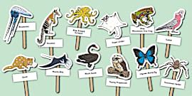 Australian Animal Stick Puppets