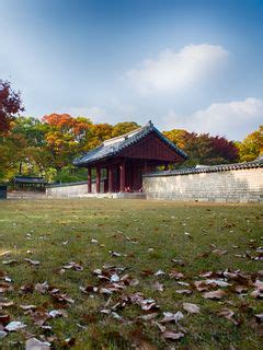 Download wallpaper 240x320 pagoda, temple, architecture, field, fence ...