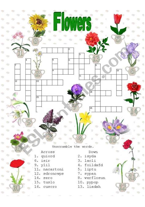 Parts Of A Flower Crossword