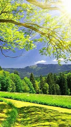 Hd Wall Wallpaper For Mobile by Beautiful Wallpapers Of Nature For Mobile Wallpaper Cave Hd Wall Wallpaper For Mobile