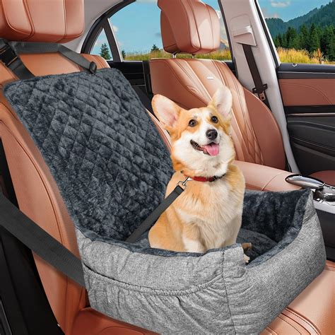 Safest Car Seats For Small Dogs at Percy Cunningham blog