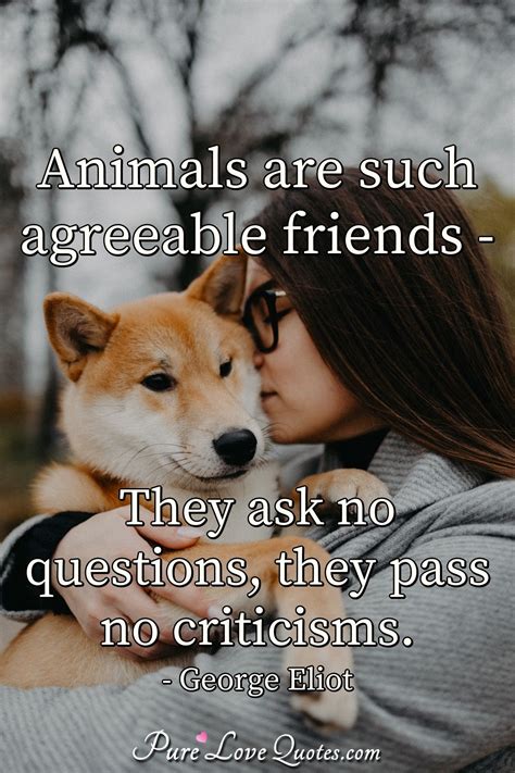 Quotes About Animals Love