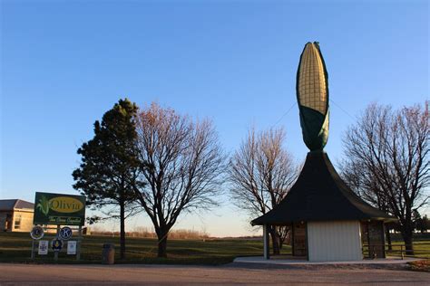 World's Largest Ear of Corn, world record in Olivia, Minnesota