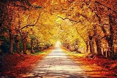 Wallpaper Desktop October by October Wallpapers High Quality Free Wallpaper Desktop October