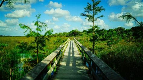 Image result for Examples of Programming Software
