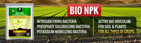 OrganicDews Bio NPK consortia (5x10^7 CFU/g) Bio Inoculum Fertilizer (1 ...