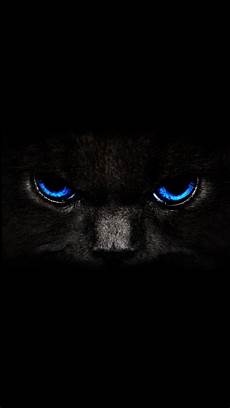 Black Cat Wallpaper Iphone by Black Cat Iphone 5 Wallpaper Pctechnotes Pc Tips Black Cat Wallpaper Iphone