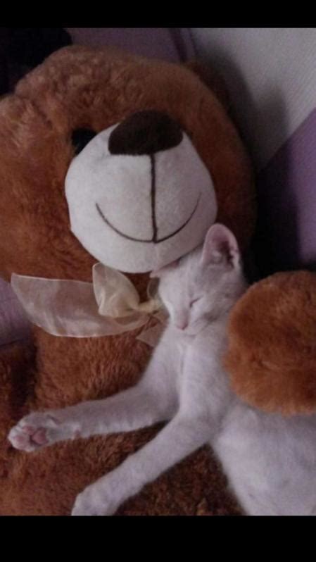 Roco, una chica dura de la calle