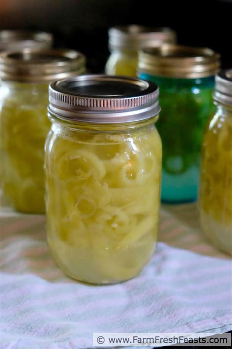 Farm Fresh Feasts: Pink Pickled Banana Peppers for Sandwiches