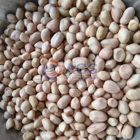 Java Groundnut Kernel Exporter, Supplier from Bhopal