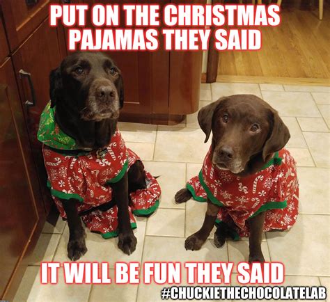 Put on the Christmas pajamas they said it will be fun they said - Imgflip