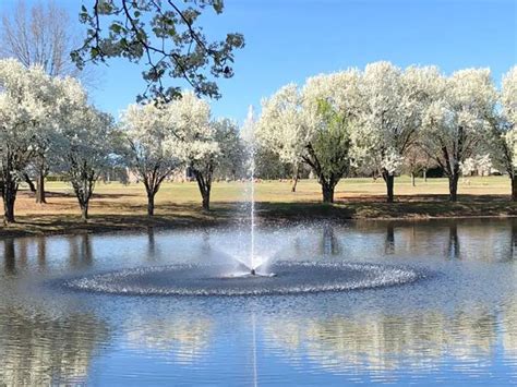 Baumgartner Funeral Home & Greenlawn Memorial Park