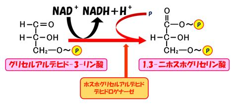 Image result for Secure Hash Algorithm Hint Image