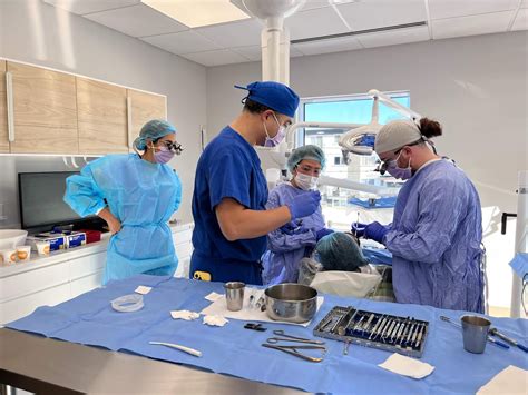 Zeeba Advanced Dental Education - CBCT Oral Radiology Certification