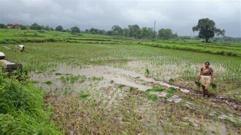Badlapur Pictures - Traveller Photos of Badlapur, Thane District ...