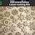 Buy Several Distorted Patterns/ Vector File Instant Download CNC File ...