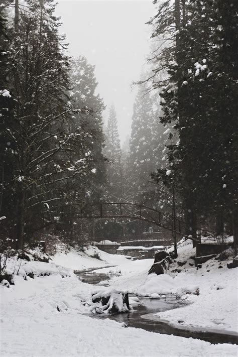 Download wallpaper 800x1200 river, bridge, snow, trees, winter iphone ...