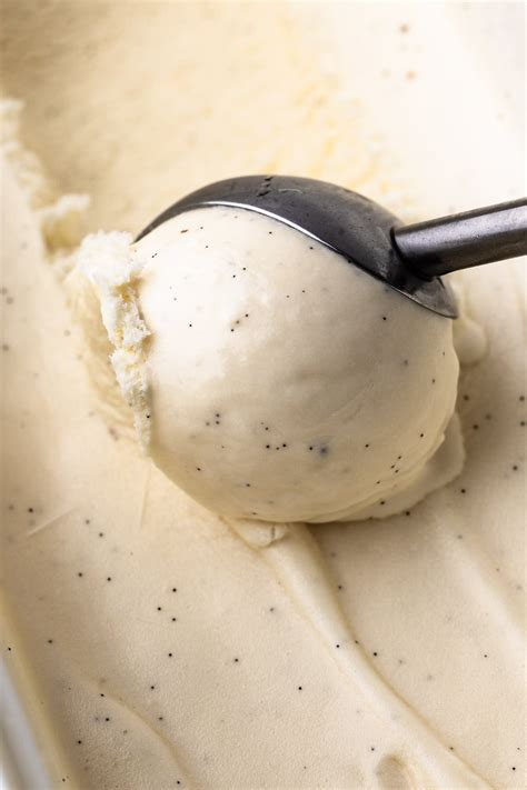 Can Cats Eat Vanilla Bean Ice Cream