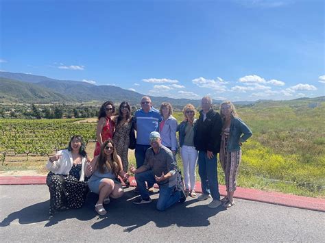 GRAPELINE WINE TOURS (2025) All You Need to Know BEFORE You Go (with ...