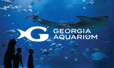 Georgia Aquarium: Keeping One of the World's Largest Aquariums Flowing ...