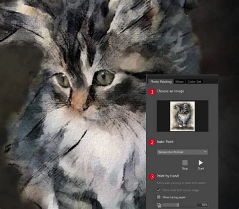 Image result for Corel Painter Essentials 7 Tutorial PDF